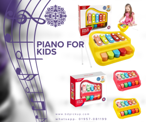 2 in 1 Huanger Vocal Piano- Xylophone