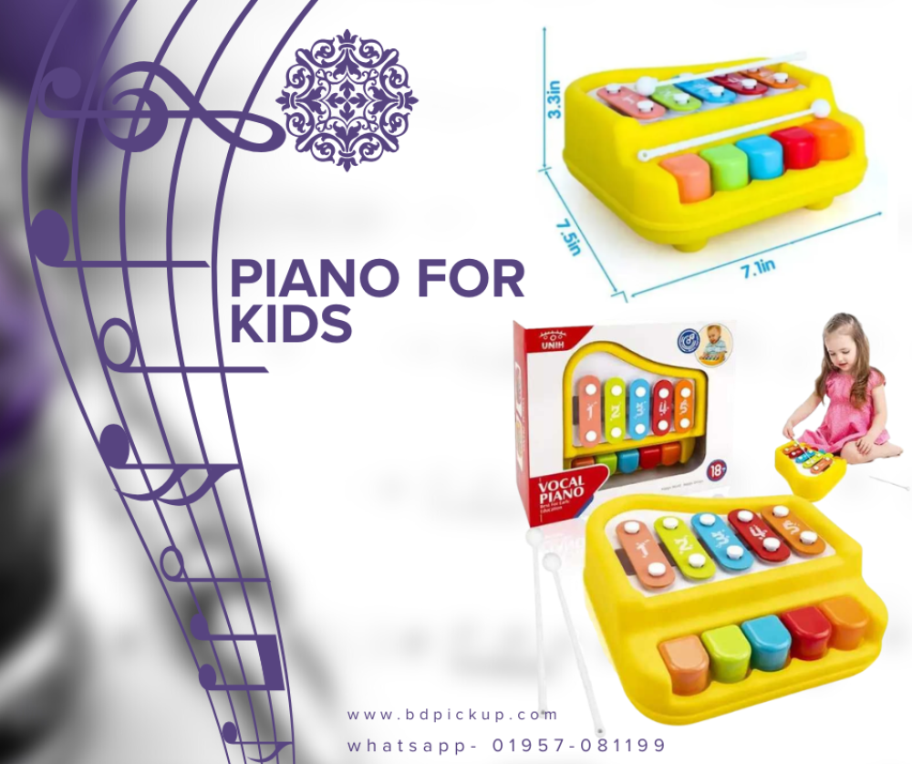 2 in 1 Huanger Vocal Piano- Xylophone